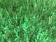 Reciclagem segura de gramado orgânico para campos desportivos