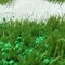 Reciclagem segura de gramado orgânico para campos desportivos