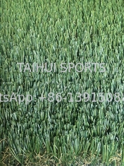 Resistente a UV 50mm Tamanho personalizado Paisagem ao ar livre Erva de relva artificial sintética Para futebol Campo de futebol
